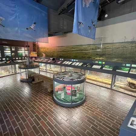 Arctic Circle And * סאלה