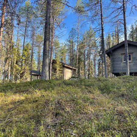 Arctic Circle And Lodge Salla