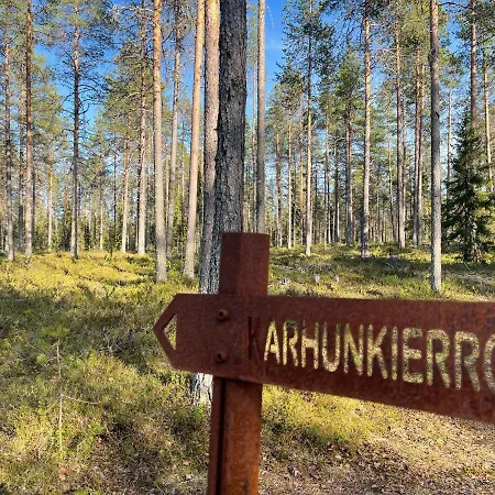 Arctic Circle And * סאלה