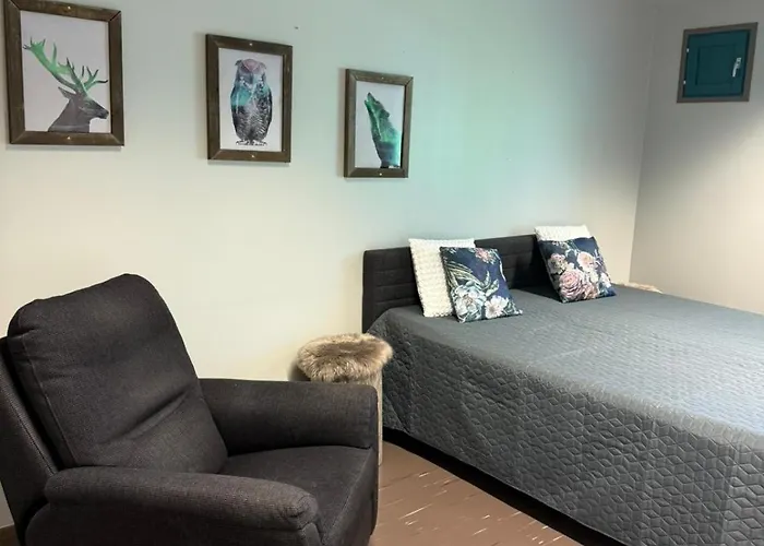 Arctic Circle And Lodge Salla